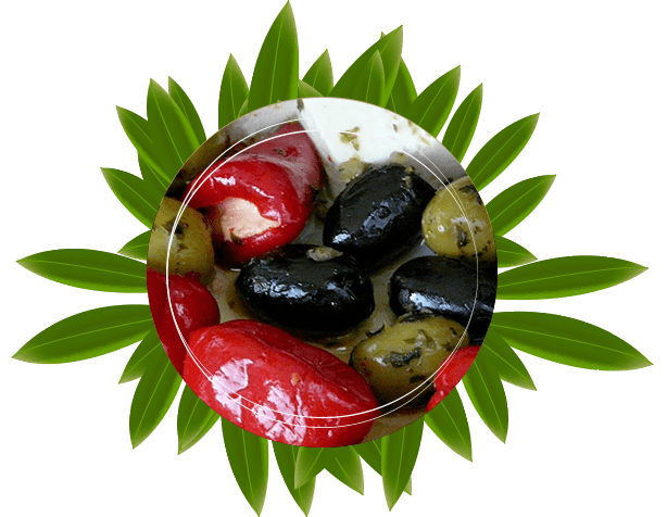 Exportation d’olives en Bretagne 3